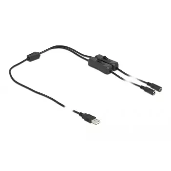 USB A (vyriškas) į 2 x DC 5.5 x 2.1 mm (moteriškas) su jungikliu 1 m DeLOCK 86797