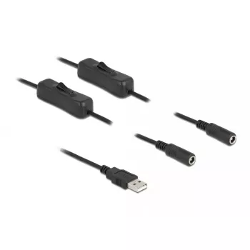 USB A (vyriškas) į 2 x DC 5.5 x 2.1 mm (moteriškas) su jungikliu 1 m DeLOCK 86797