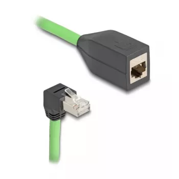 DeLOCK 80886 RJ-45 Cat6a tinklo laidas 1 m juodas/žalias