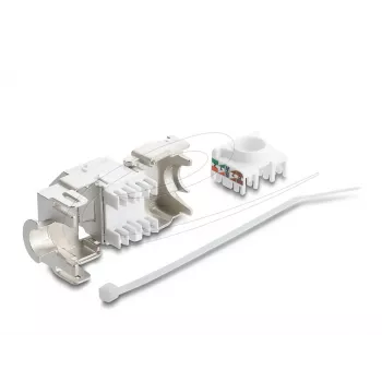 Keystone modulis DELOCK 90938 – RJ-45 Cat.6A ekranuotas plokščias kištukas, baltas