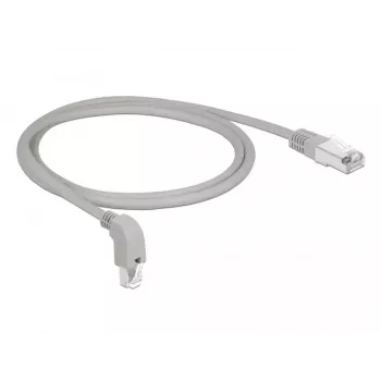 DeLOCK 85874 tinklo kabelis RJ-45 Cat6a 1 m pilkas