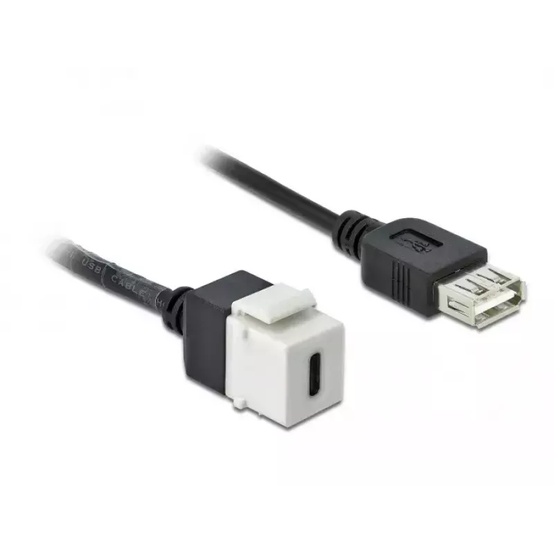 Keystone modulis DeLOCK 86391 USB C plokščias juodas baltas