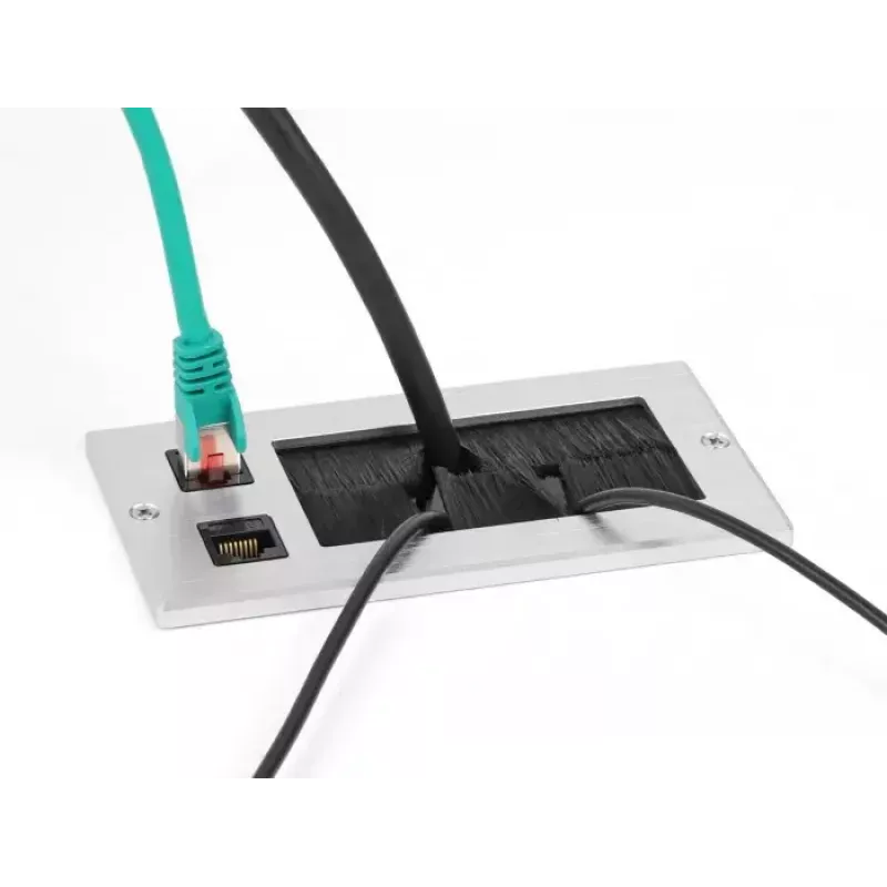 DeLOCK kabelio įvadas su šepetėliu ir 2 RJ45 Cat.6 aliumininis modulis