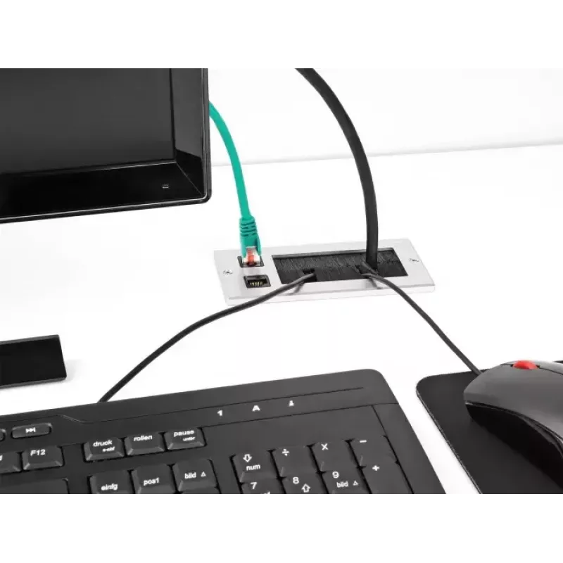 DeLOCK kabelio įvadas su šepetėliu ir 2 RJ45 Cat.6 aliumininis modulis