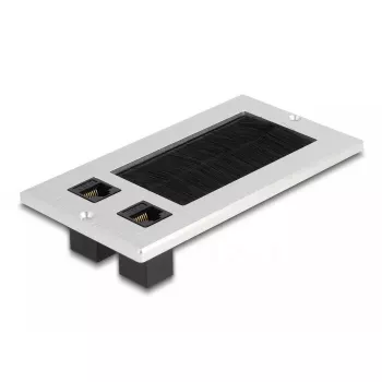DeLOCK kabelio įvadas su šepetėliu ir 2 RJ45 Cat.6 aliumininis modulis