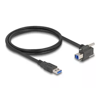 USB laidas DeLOCK 80480 1 m USB Type-A vyriškas į USB Type-B vyriškas 5 Gbps