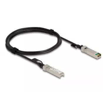 DeLOCK Twinax kabelis SFP+ vyriškas į SFP+ vyrišką 2 m 84204