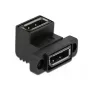 DeLOCK Easy 45 DisplayPort adapteris 81310