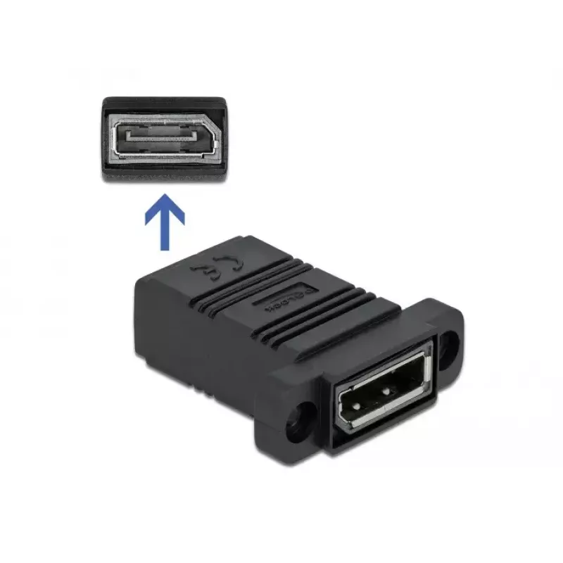 DeLOCK Easy 45 81309 DisplayPort adapteris