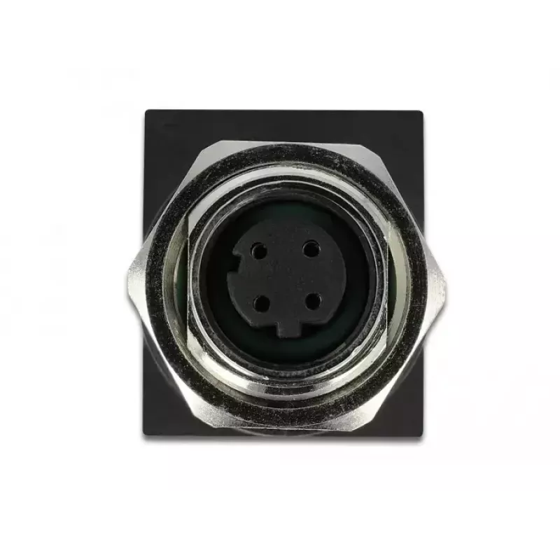 Adapteris jungtims DeLOCK 66312 M12 į RJ45