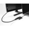 DeLOCK USB-C adapteris į DisplayPort 8K HDR su Power Delivery 60W