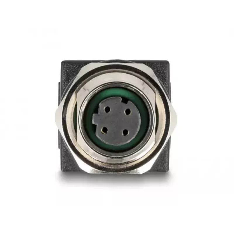 DeLOCK M12 adapteris D-koduotas 4 kontaktų moteriškas į RJ45 lizdą tiesus