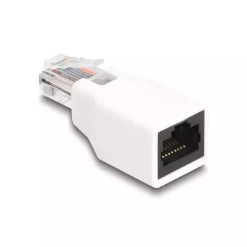 DeLOCK 88002 RJ50 lyties keitiklis baltas
