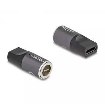 DeLOCK adapteris nešiojamojo kompiuterio įkrovimo laidui USB Type-C moteriška į 8 kontaktų magnetinę jungtį