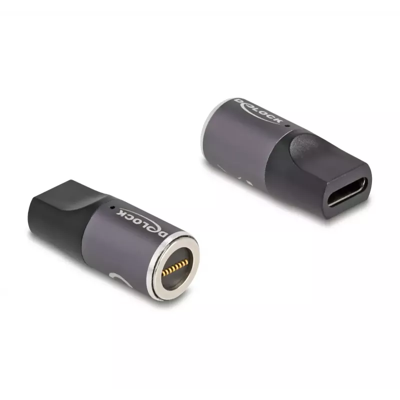 DeLOCK adapteris nešiojamojo kompiuterio įkrovimo laidui USB Type-C moteriška į 8 kontaktų magnetinę jungtį