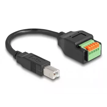DeLOCK USB 2.0 Type-C (moteriška) į gnybtų bloką adapteris 66457