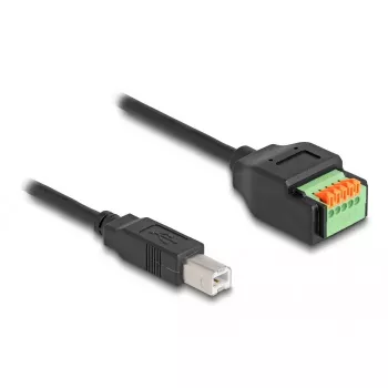 DeLOCK USB 2.0 Type-C (moteriška) į gnybtų bloką adapteris 66457