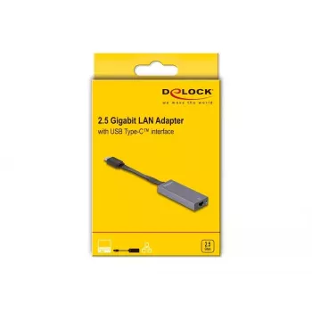 DeLOCK 66248 adapteris USB-C į RJ-45, pilkas, 0,09 m