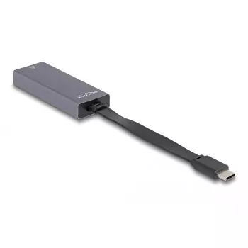DeLOCK 66248 adapteris USB-C į RJ-45, pilkas, 0,09 m