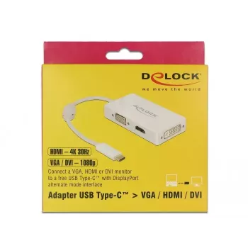Vaizdo skirstytuvas DeLOCK 63924 USB Type-C 3840x2160 60Hz Baltas