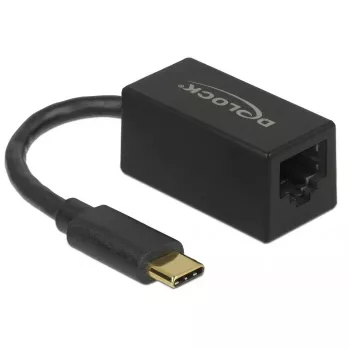 USB-C į Gigabit Ethernet adapteris DeLOCK 66043