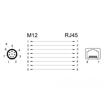 Lyties keitiklis DeLOCK 66315 M12 RJ45 juodas
