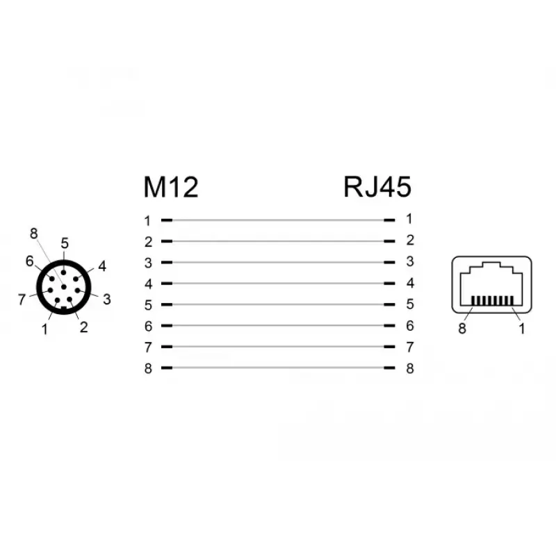 Lyties keitiklis DeLOCK 66315 M12 RJ45 juodas