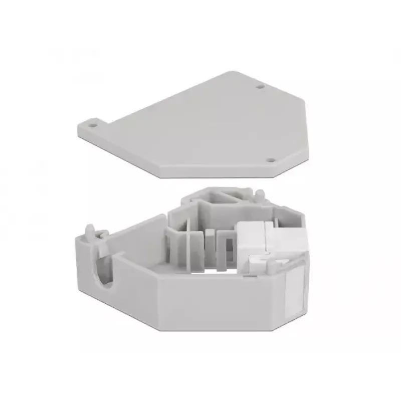 Keystone modulis DELOCK 87163 — USB A į USB A, pilka/balta, 60,1×59,4×21,6 mm