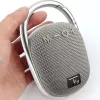 Techly ICASBL321GR nešiojamas vieno kanalo garsiakalbis, pilka, 5 W