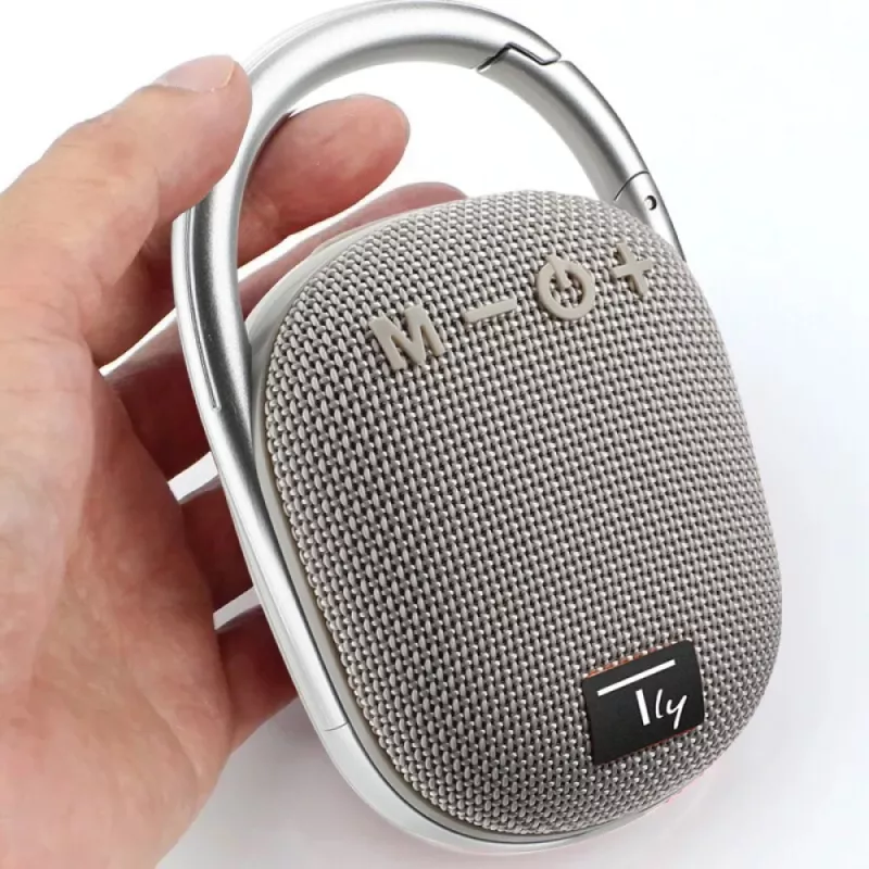 Techly ICASBL321GR nešiojamas vieno kanalo garsiakalbis, pilka, 5 W