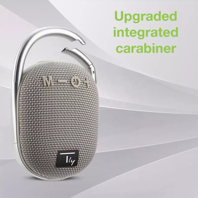 Techly ICASBL321GR nešiojamas vieno kanalo garsiakalbis, pilka, 5 W