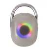 Techly ICASBL321GR nešiojamas vieno kanalo garsiakalbis, pilka, 5 W