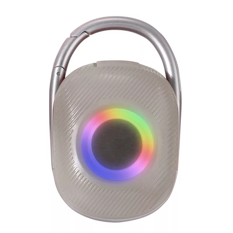 Techly ICASBL321GR nešiojamas vieno kanalo garsiakalbis, pilka, 5 W