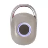 Techly ICASBL321GR nešiojamas vieno kanalo garsiakalbis, pilka, 5 W