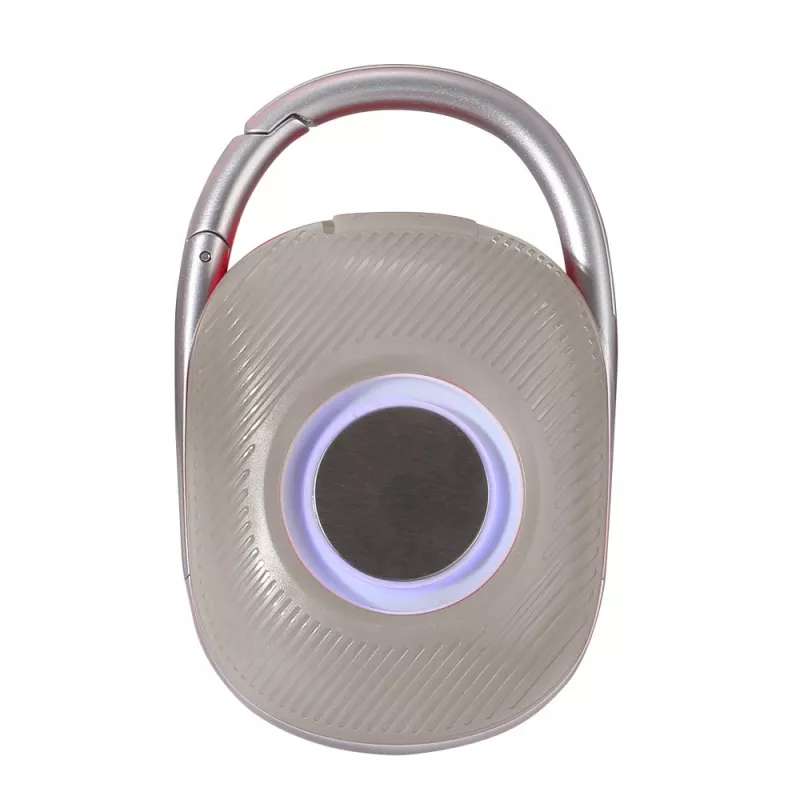 Techly ICASBL321GR nešiojamas vieno kanalo garsiakalbis, pilka, 5 W