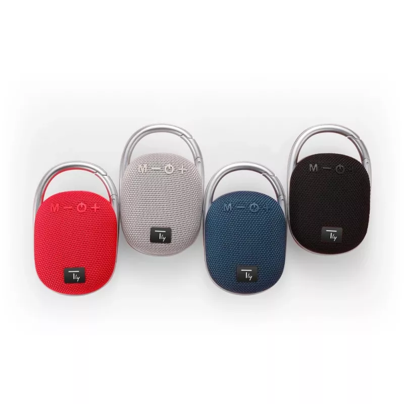 Techly ICASBL321GR nešiojamas vieno kanalo garsiakalbis, pilka, 5 W