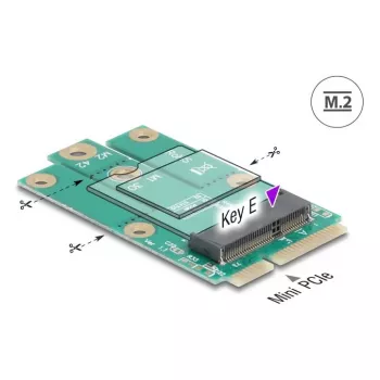 DeLOCK 64338 Vidinis M.2 adapteris Mini PCI Express vyriškas