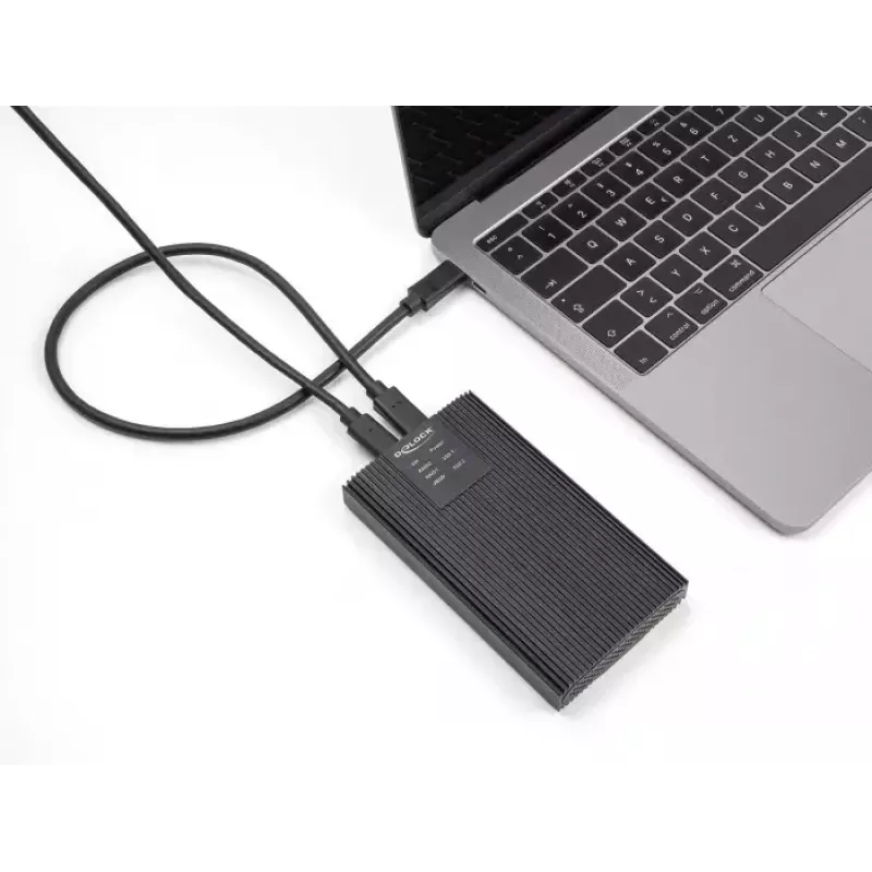 Išorinis SSD dėklas Delock 42022 USB 20 Gbps 2× M.2 NVMe PCIe