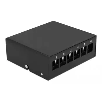 Patch Panel Delock Keystone 6 prievadų juodas