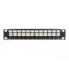 Patch panel DeLOCK 66874 1U juodas metalinis 12 prievadų