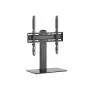 Equip universalus TV stovas 32-55 coliams, juodas, 40 kg talpa