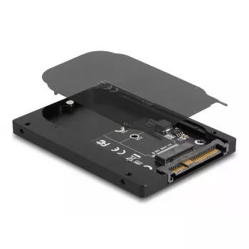 DeLOCK 63379 Juodas M.2 SSD keitiklis į U.2 68 kontaktų