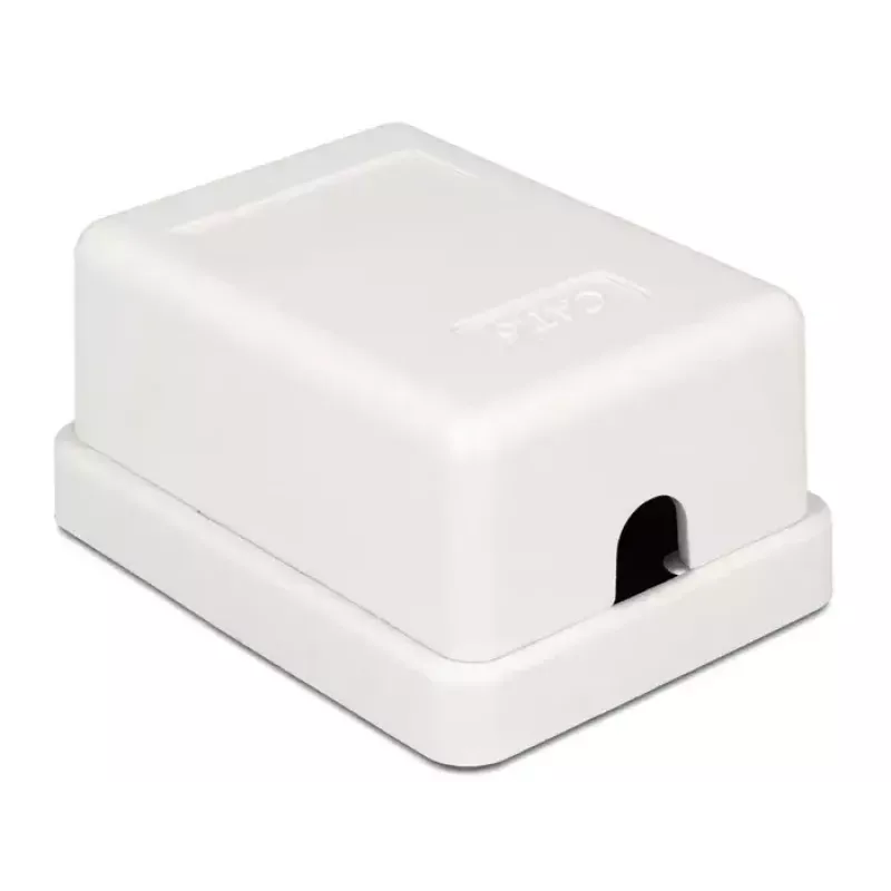 Išvadų dėžutė DeLOCK 86248 balta 52mm x 25,5mm x 39mm