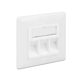 RJ-45 lizdo kištukinė rozetė DeLOCK 86194 sidabrinė balta