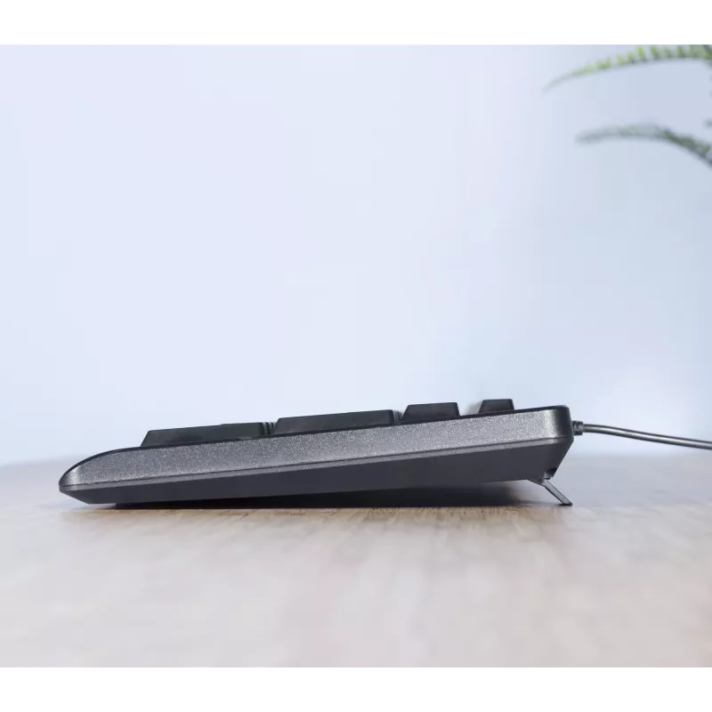 Trust TKM-250 klaviatūra su pele, laidas, USB, QWERTZ vokiškas, juoda