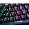 Trust GXT 867 Acira klaviatūra žaidimams USB QWERTZ vokiška juoda pilka 60% mechaninė RGB