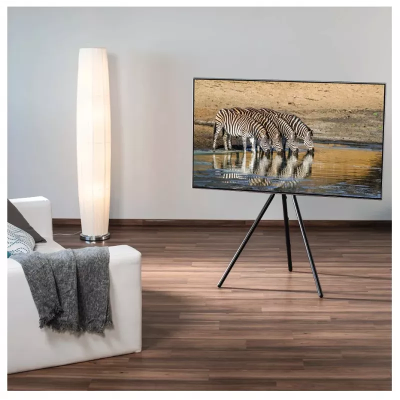 Hama 00220870 TV stovas 190,5 cm (75 colių) Juodas
