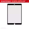 Displex TABLET PAPERSENSE apsauginė plėvelė iPad 7/8/9 Gen. ir iPad Air 3, matinė 10,5 colio (26,7 cm), 3H, nuimama