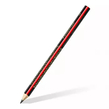 Pieštukas Staedtler Jumbo 2B šešiakampis, švino Ø 3 mm, įvairiaspalvis, 1 vnt