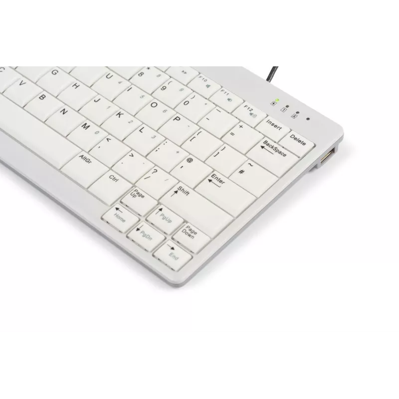 BakkerElkhuizen UltraBoard 950 V2 US Qwerty, laidinė, USB, žirkliniai jungikliai, QWERTY, tamsiai pilka, šviesiai pilka